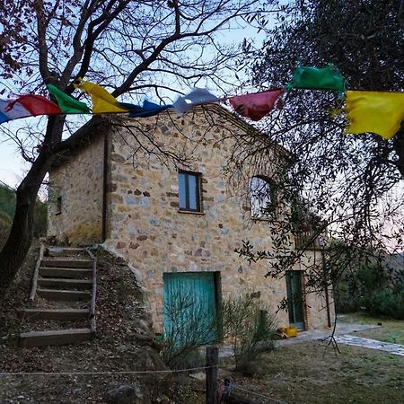 La Casina Di Giannetto Guest House Seggiano Exterior foto